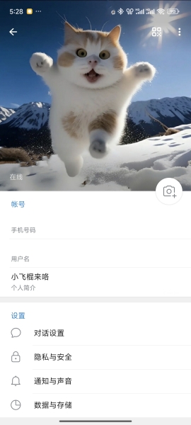 Telegeram纸飞机软件如何更改用户名昵称